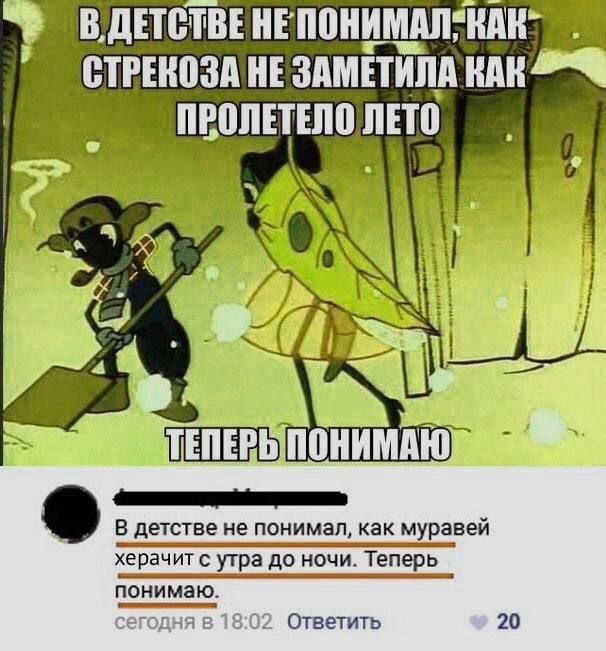 В ДЕТСТВЕ НЕ ПОНИМАЛ, КАК СТРЕКОЗА НЕ ЗАМЕТИЛА КАК ПРОПЕТЕЛО ЛЕТО
ТЕПЕРЬ ПОНИМАЮ
В детстве не понимал, как муравей херачит с утра до ночи. Теперь понимаю.