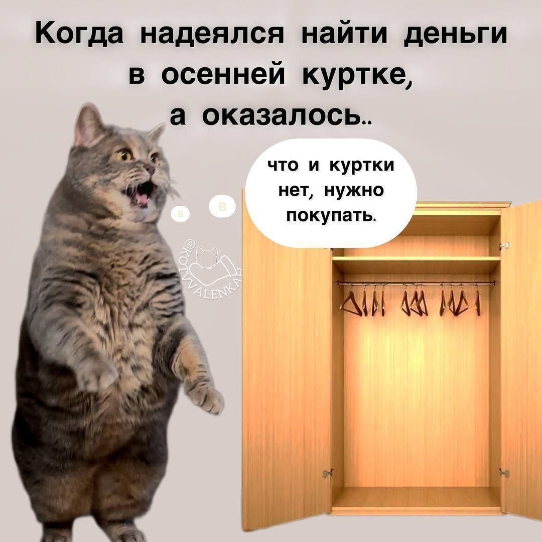 Когда надеялась найти деньги в осенней куртке, а оказалось..
что и куртки нет, нужно покупать.