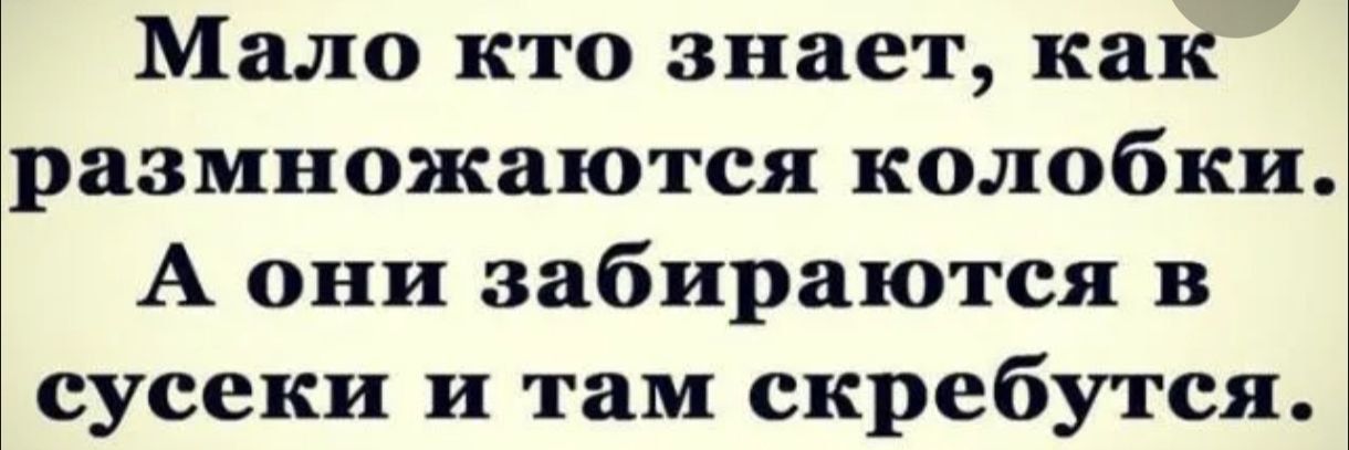 Мало кто знает, как размножаются колобки. А они забираются в сусеки и там скребутся.