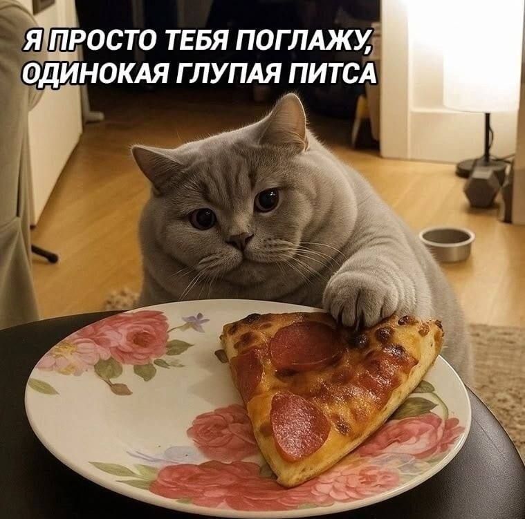 Я ПРОСТО ТЕБЯ ПОГЛАЖУ, ОДИНОКАЯ ГЛУПАЯ ПИТСА