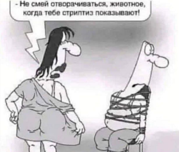 - Не смей отговариваться, животное, когда тебе стригут показывают!