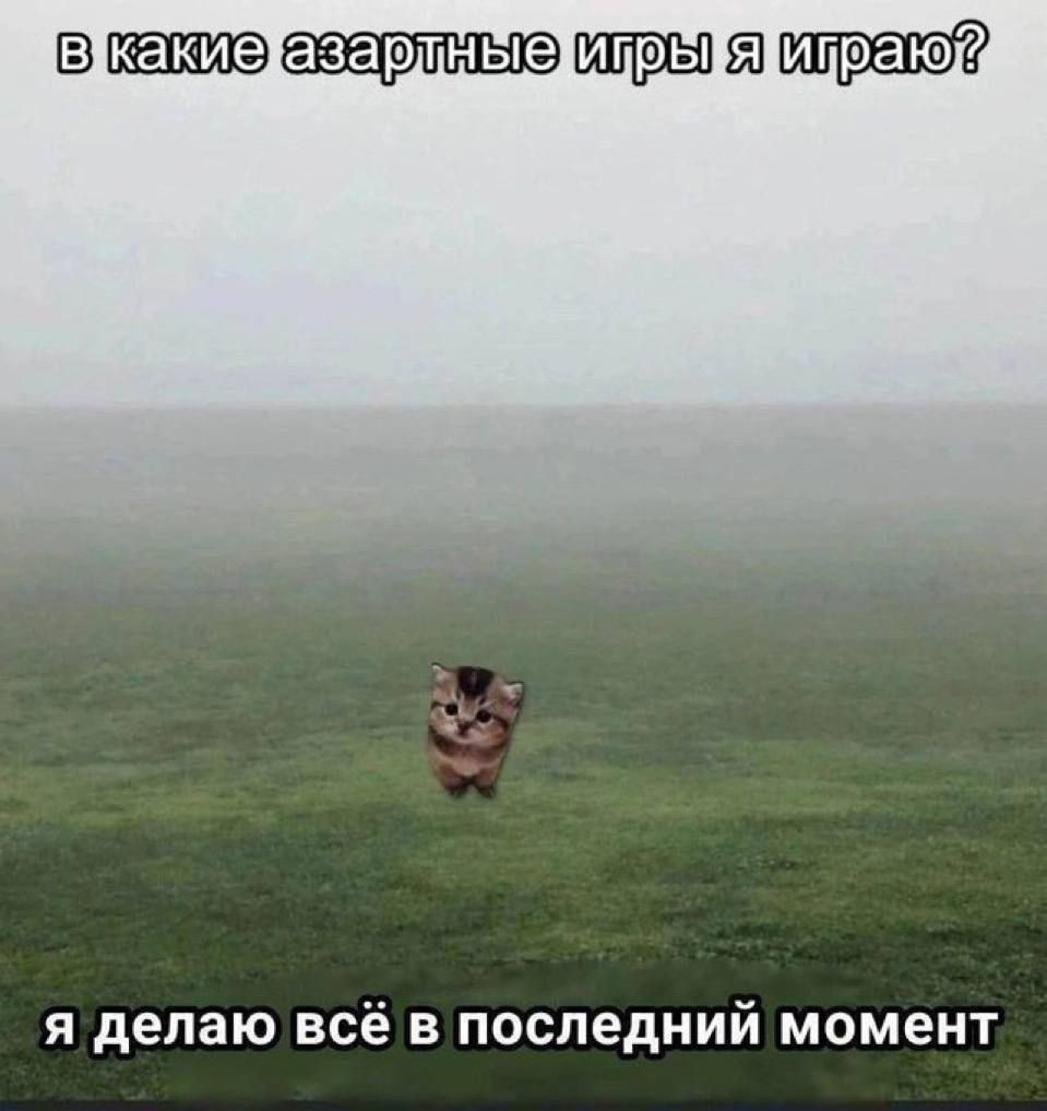 в какие азартные игры я играю? я делаю всё в последний момент