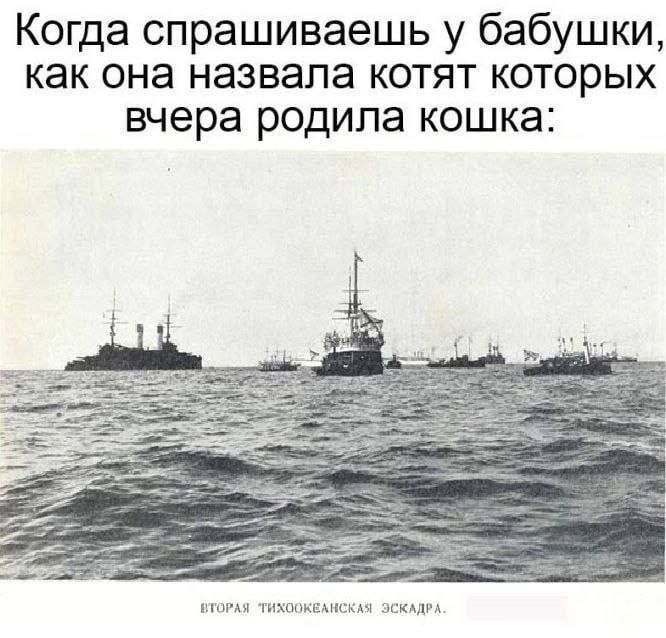 Когда спрашиваешь у бабушки, как она назвала котят которых вчера родила кошка:\nВторая тихоокеанская эскадра.