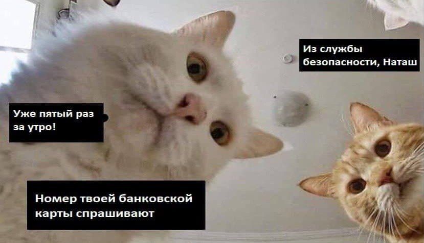 Уже пятый раз за утро!
Номер твоей банковской карты спрашивают
Из службы безопасности, Наташ