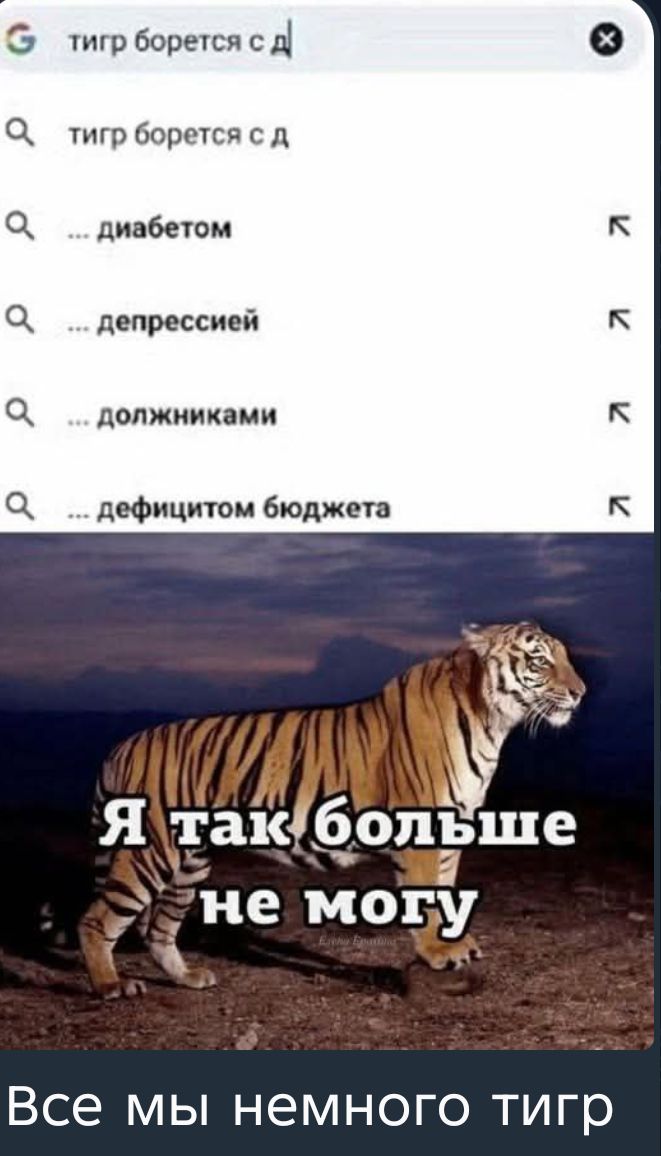 тигр борется с d...; диабетом, депрессией, должниками, дефицитом бюджета; Я так больше не могу; Все мы немного тигр