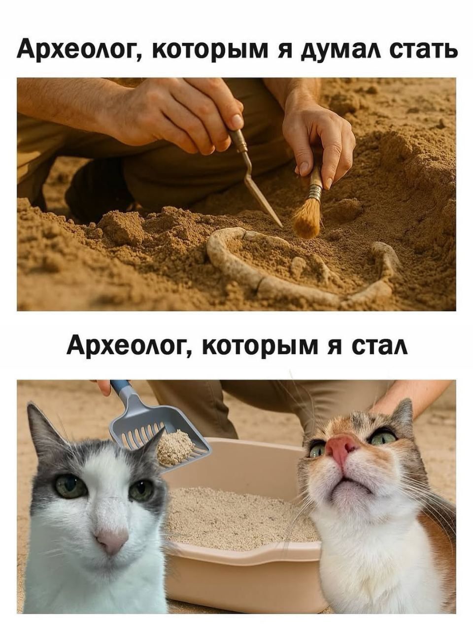 Археолог, которым я думал стать
Археолог, которым я стал