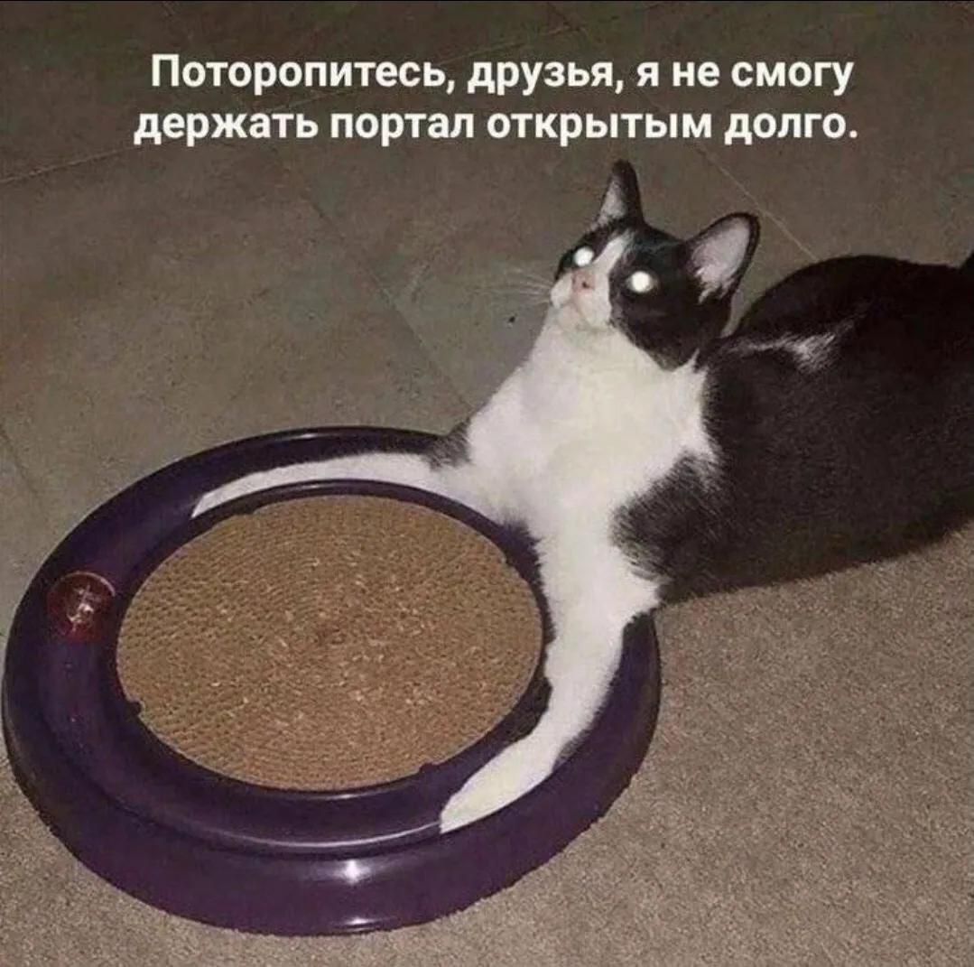 Поторопитесь, друзья, я не смогу держать портал открытoм долго.