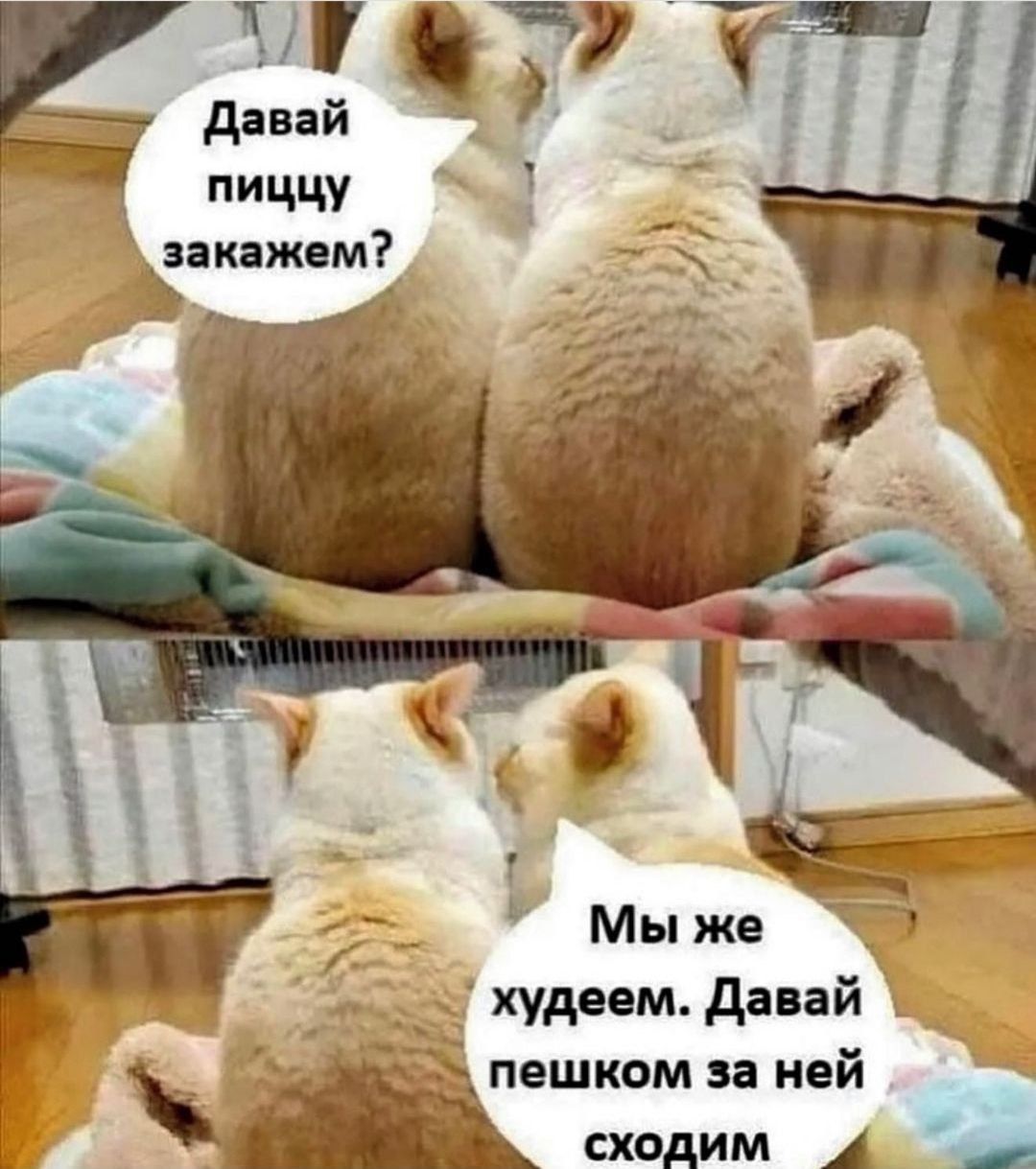 Давай пищцу закажем?\nМы же худеем. Давай пешком за ней сходим