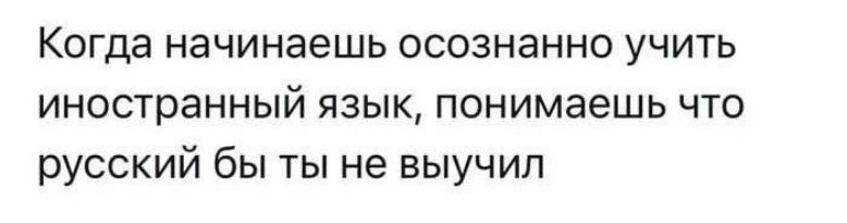 Когда начинаешь осознанно учить иностранный язык, понимаешь что русский бы ты не выучил