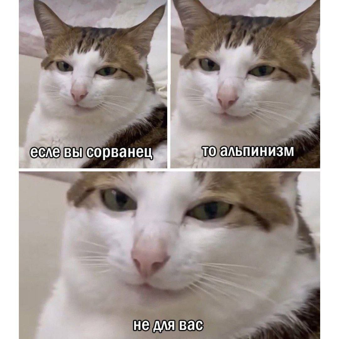 если вы сорванец
то альпинизм
не для вас