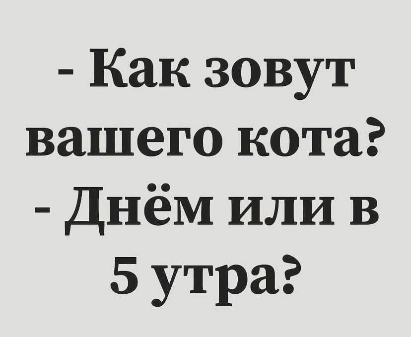 - Как зовут вашего кота?\n- Днём или в 5 утра?