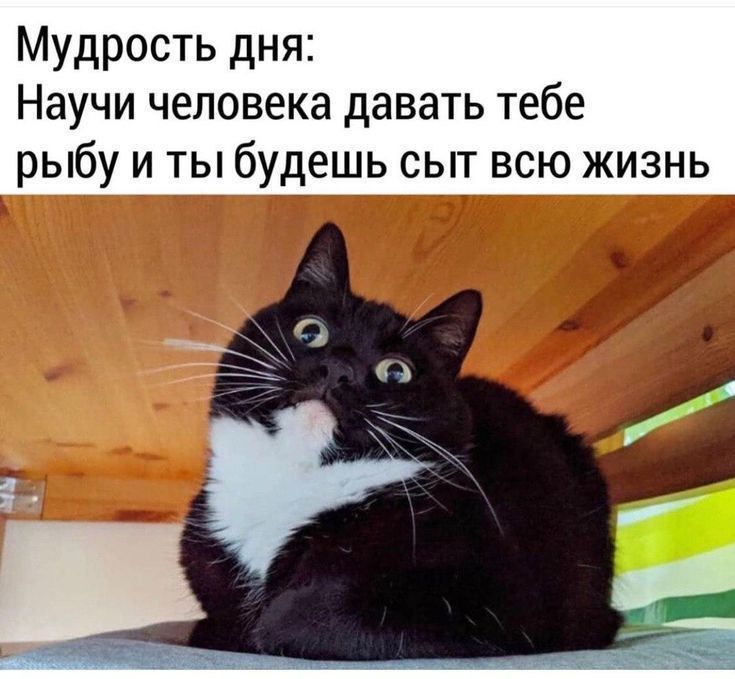 Мудрость дня: Научи человека давать тебе рыбу и ты будешь сыт всю жизнь