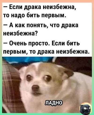 — Если драка неизбежна, то надо бить первым.\n— А как понять, что драка неизбежна?\n— Очень просто. Если бить первым, то драка неизбежна.