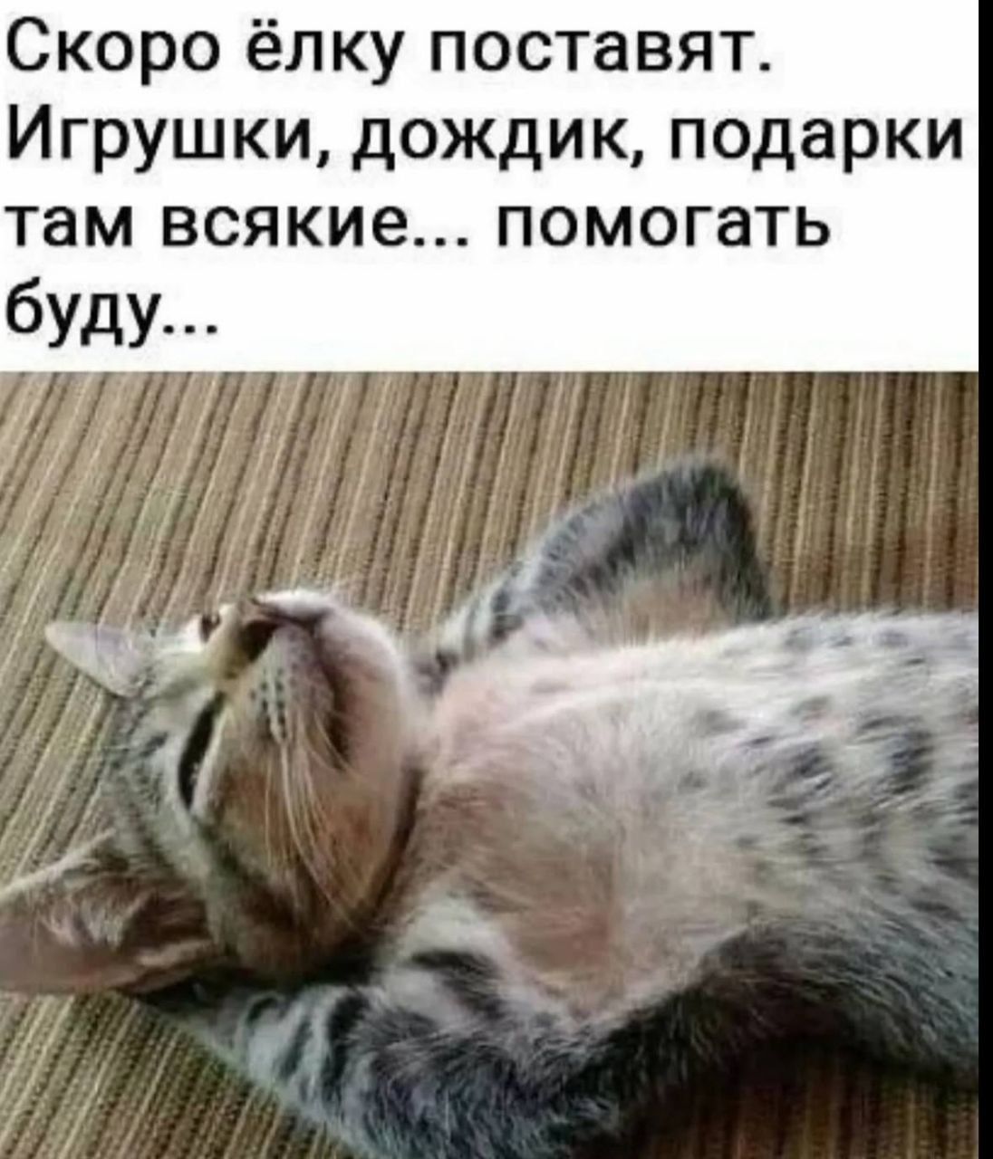 Скооро ёлку поставят. Игрушки, дождик, подарки там всякие... помогать буду...