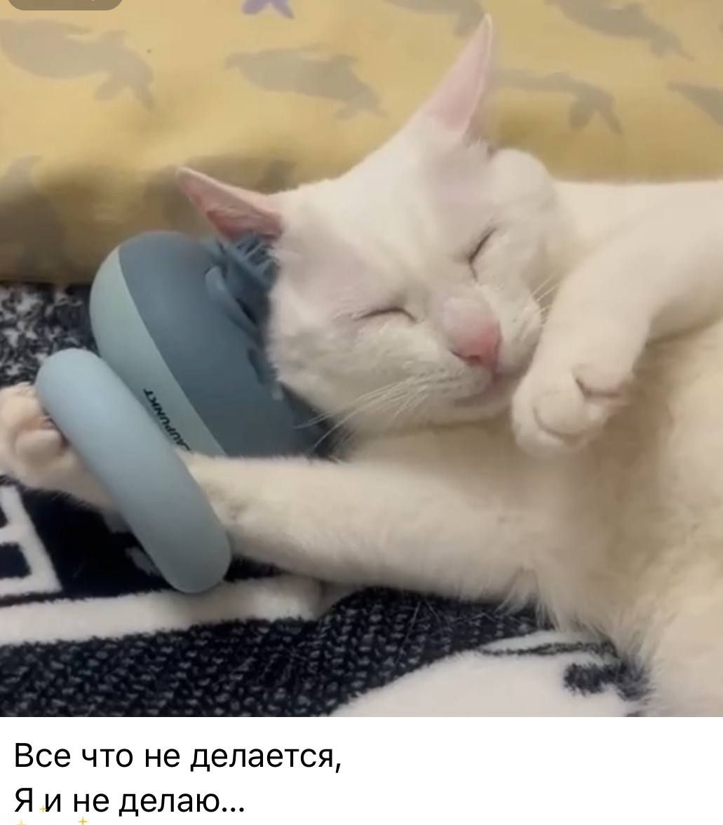 Все что не делается, Я и не делаю...