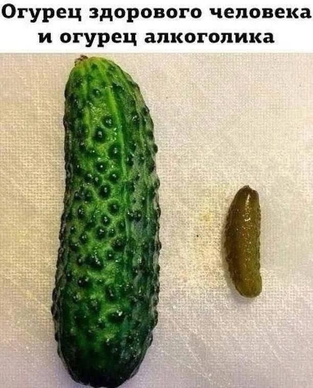 Огурец здорового человека и огурец алкогололога