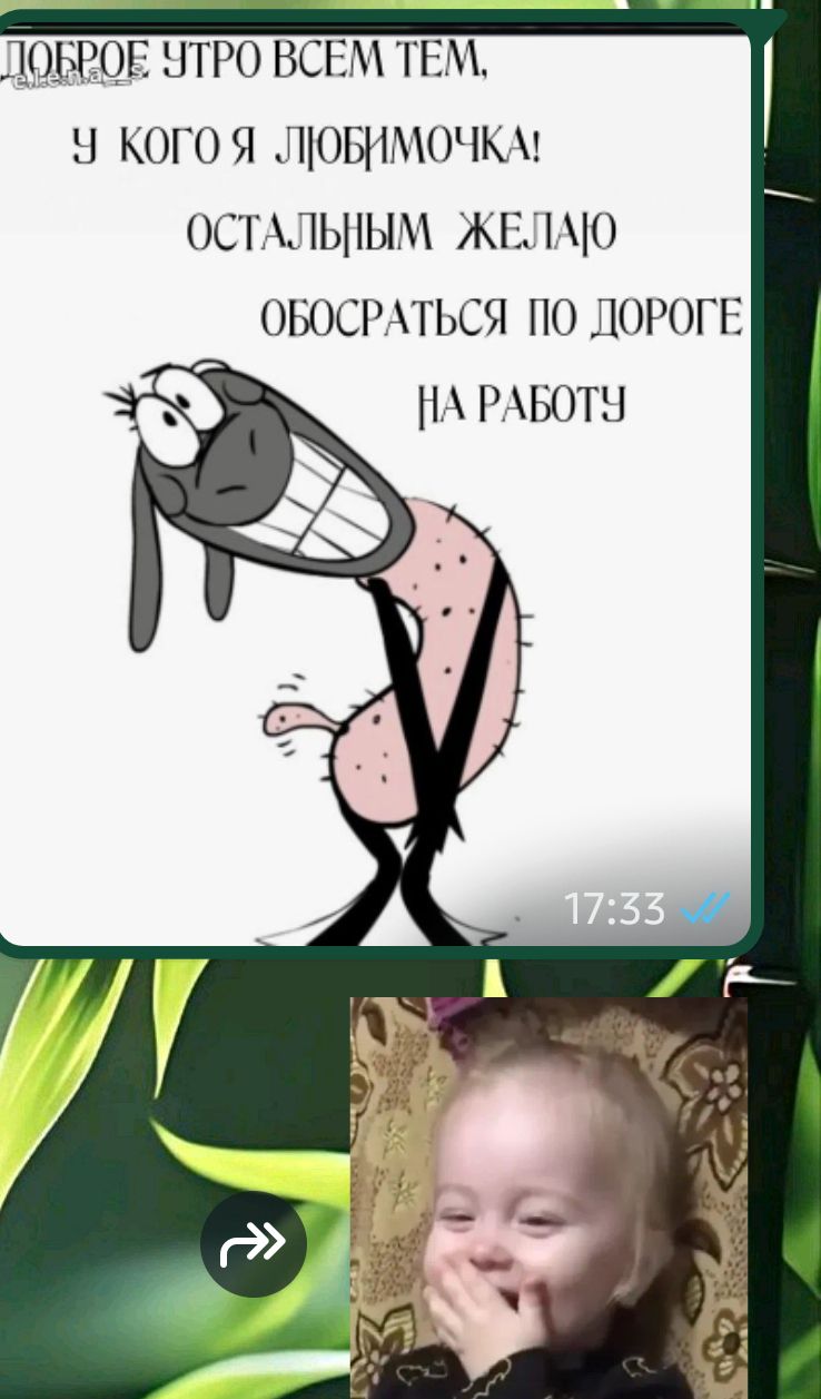 Доброе утро всем тем, у кого я любимочка! Остальным желаю обосраться по дороге на работу