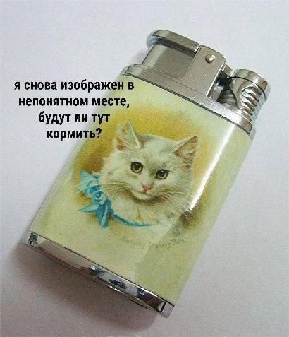 Я снова изображен в непонятном месте, будут ли тут кормить?