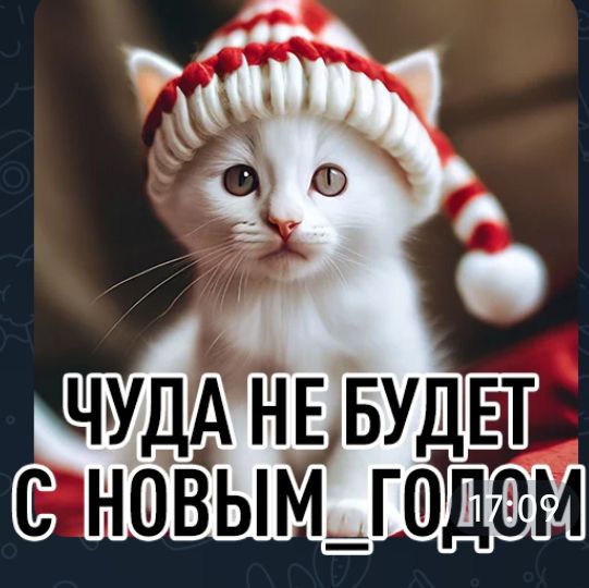 ЧУДА НЕ БУДЕТ С НОВЫМ ГОДОМ