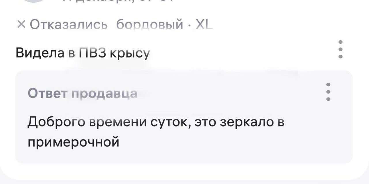 Видела в ПВЗ крысу\nОтвет продавца\nДоброго времени суток, это зеркало в примерочной
