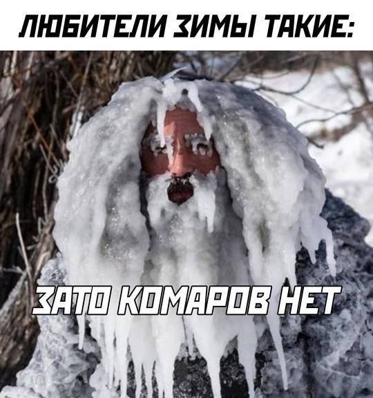 ЛЮБИТЕЛИ ЗИМЫ ТАКИЕ: ЗАТО КОМАРОВ НЕТ