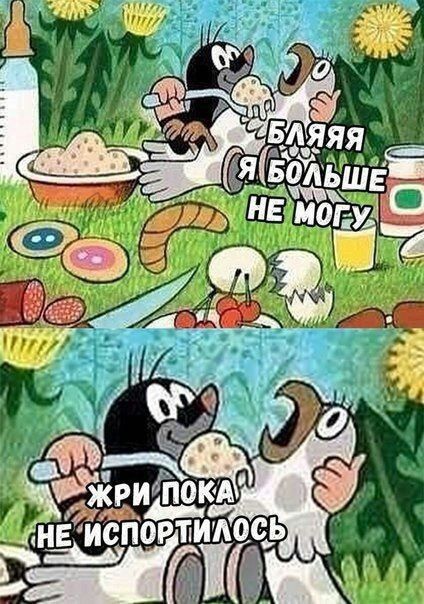 БЛЯЯЯ Я БОЛЬШЕ НЕ МОГУ
ЖРИ ПОКА НЕ ИСПОРТИЛОСЬ