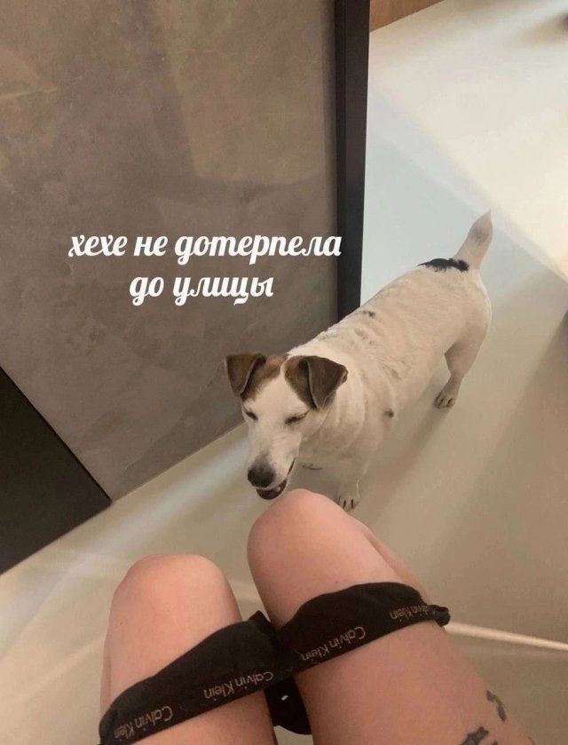 хехе не дотерпела до улицы