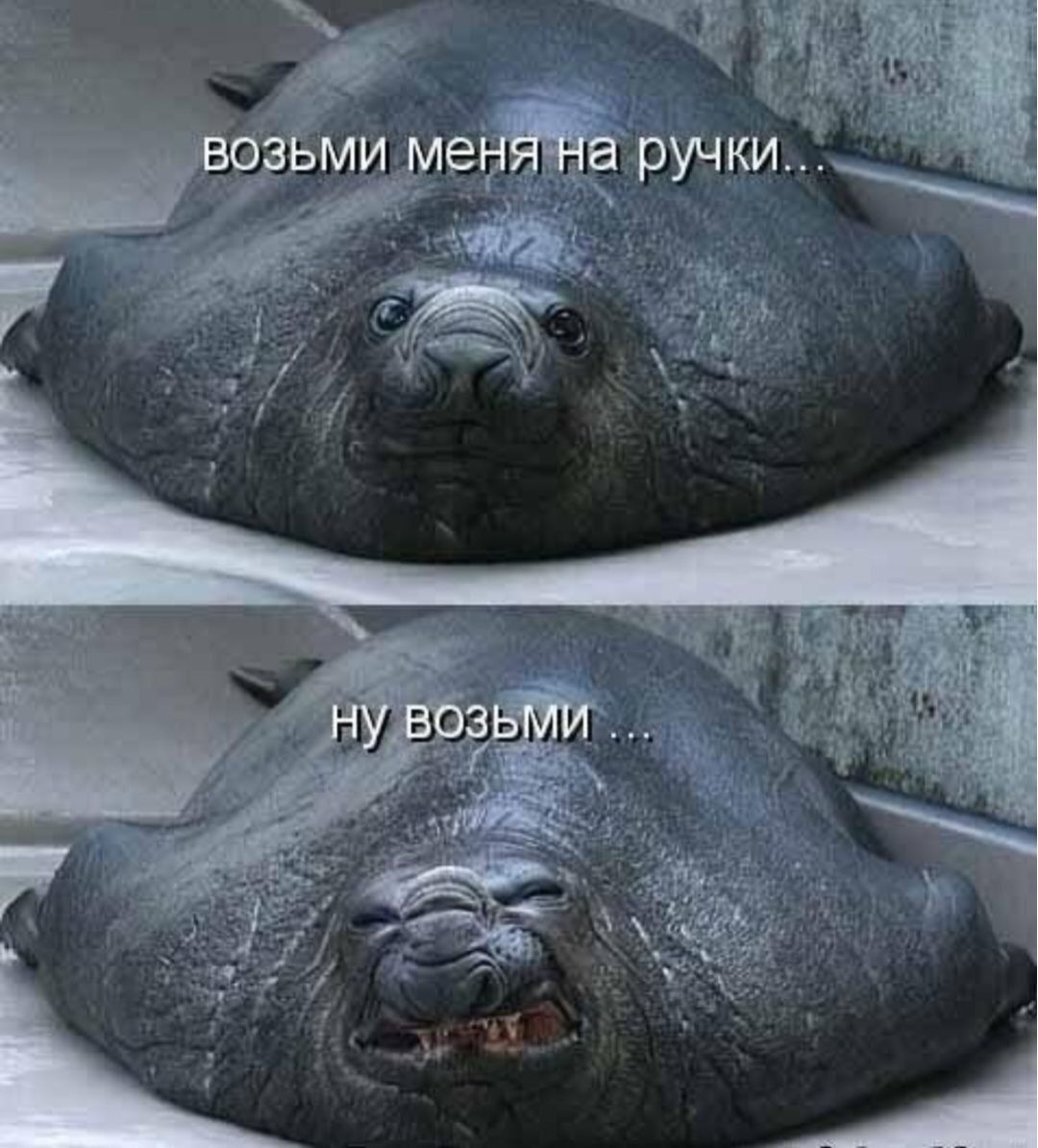 возьми меня на ручки...
ну возьми ...