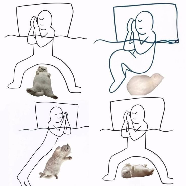 Четыре панели комикса: человек лежит в кровати, рядом разные коты/котята