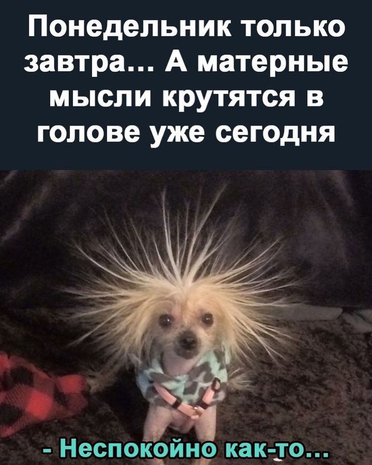 Понедельник только завтра... А матерные мысли крутятся в голове уже сегодня
- Неспокойно как-то...