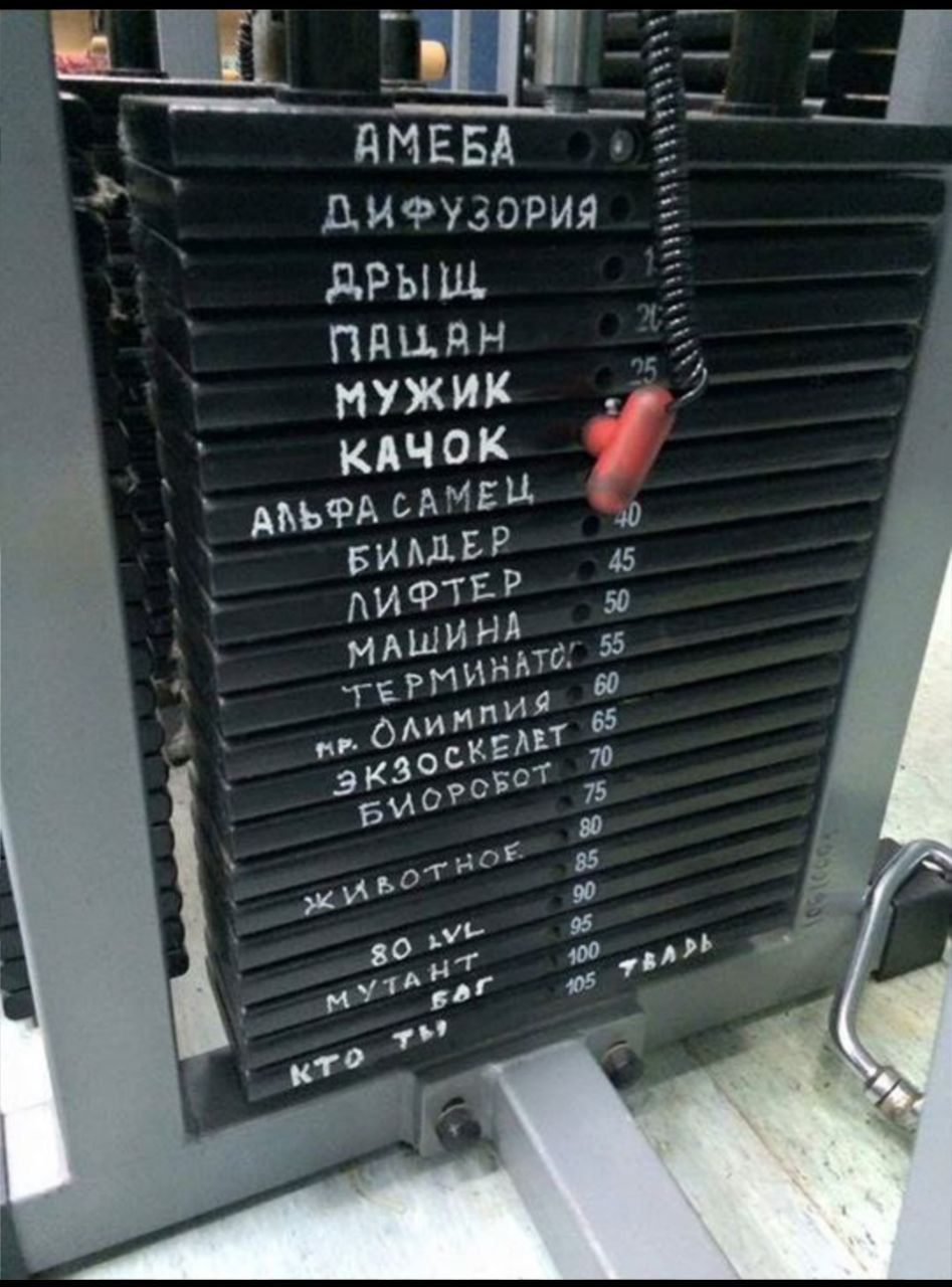 АМЕБА
ДИФФУЗОРИЯ
ДРЫШ
МУЖИК
КАЧОК
АЛЬФА САМЕЦ
БИЛДЕР
ЛИФТЕР
МАШИНА