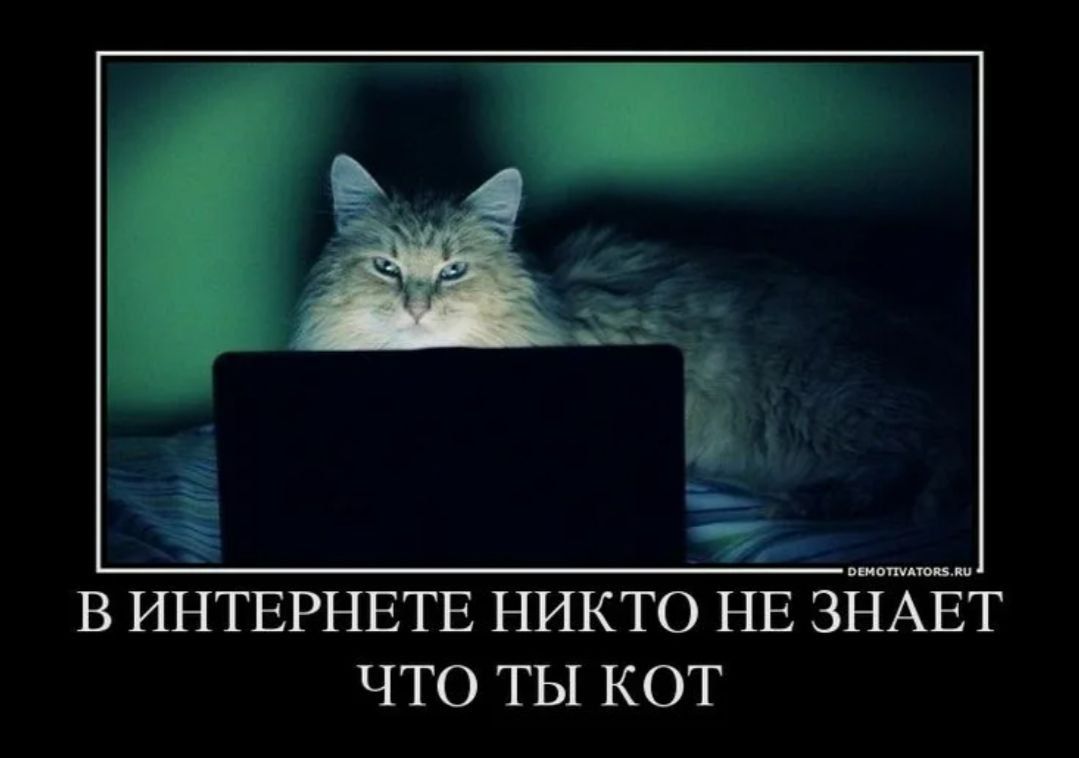В Интернетe никто не знает, что ты кот