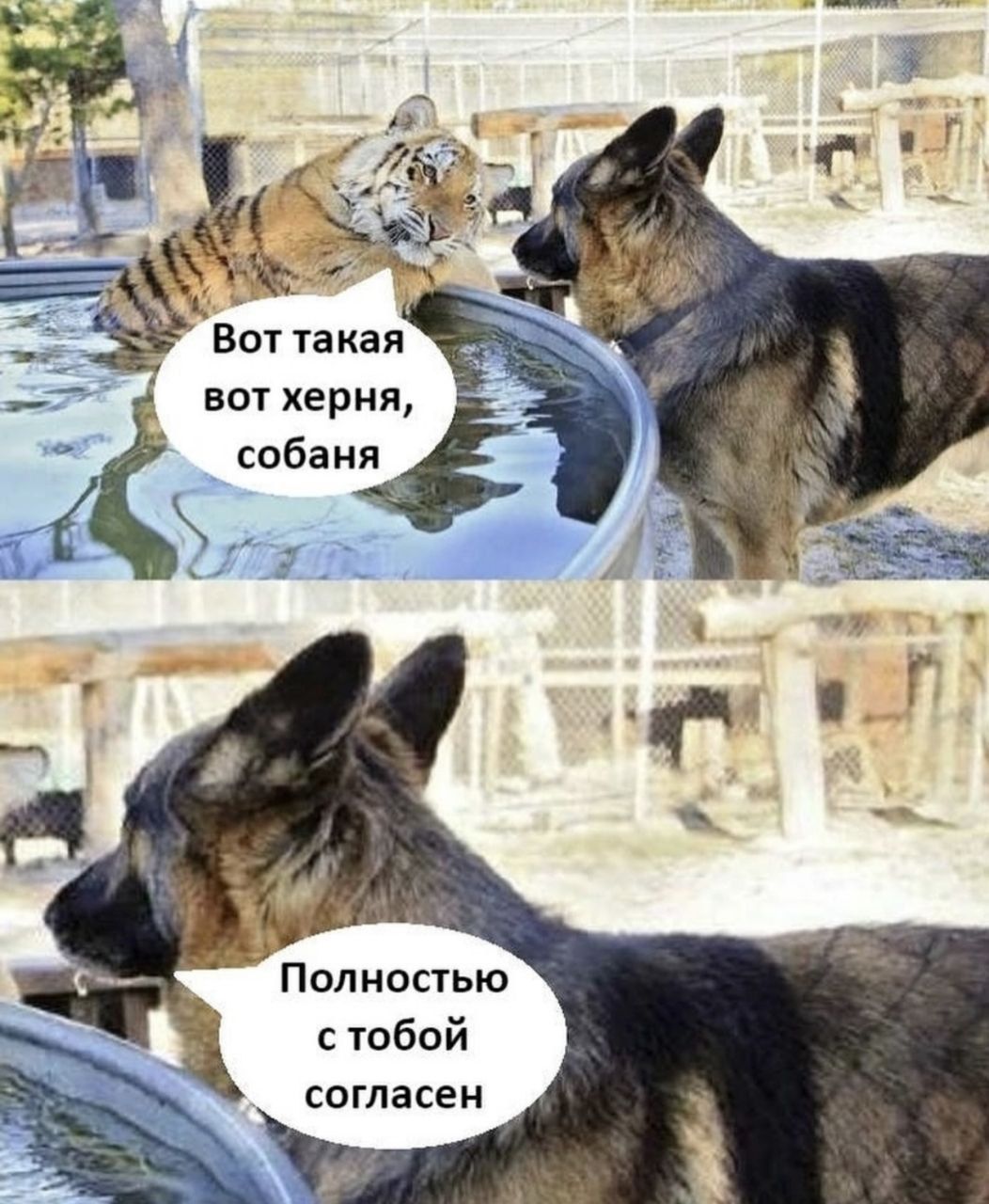 Вот такая вот хреня, собаня
Полностью с тобой согласен