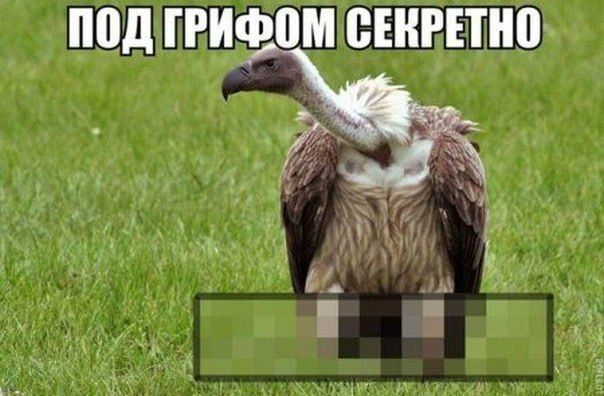 ПОД ГРИФОМ СЕКРЕТНО