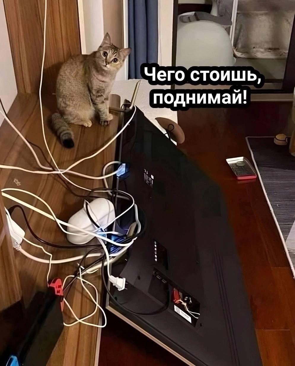 Чего стоишь, поднимай!