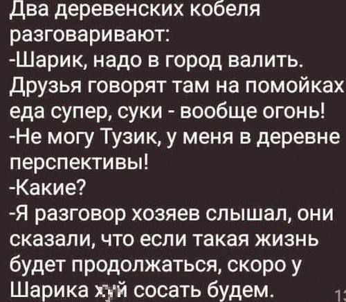 Два деревенских кобеля разговаривают:
- Шарик, надо в город валить.
Друзья говорят там на помойках еда супер, суки - вообще огонь!
- Не могу Тузик, у меня в деревне перспективы!
- Какие?
- Я разговтор хозяев слышал, они сказали, что если такая жизнь будет продолжаться, скоро у Шарика ху́й сосать будем.