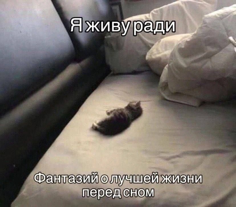 Я живу ради Фантазий о лучшей жизни перед сном