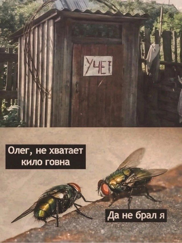 Учёт
Олег, не хватает килоговна
Да не брал я