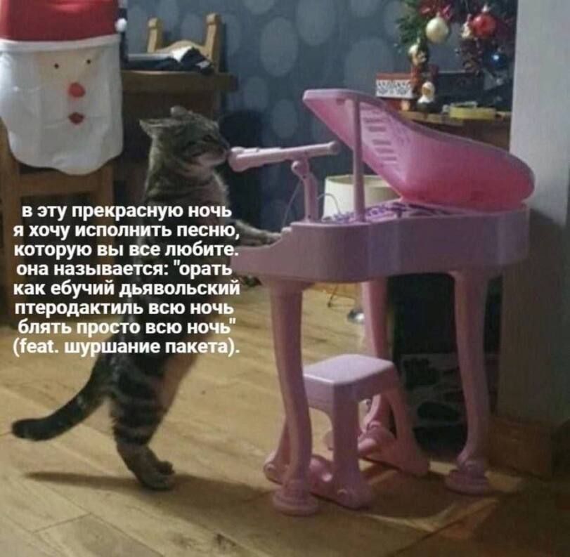В эту прекрасную ночь я хочу исполнить песню, которую вы все любите. она называется: 'орaть как ебучий дьявольский переддать всю ночь блять просто всю ночь' (feat. шуршание пакета).