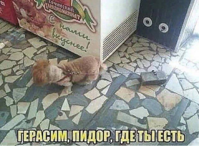 Герасим, пидор, где ты есть