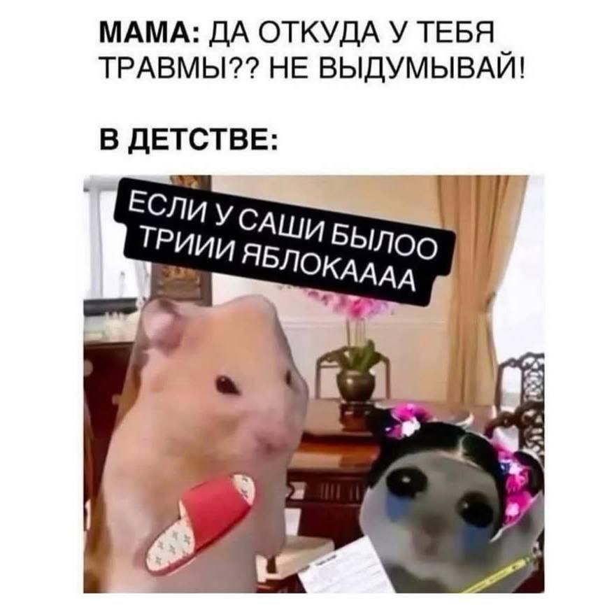 МАМА: ДА ОТКУДА У ТЕБЯ ТРАВМЫ?? НЕ ВЫДУМЫВАЙ! В ДЕТСТВЕ: ЕСЛИ У САШИ БЫЛО ТРИЙ ЯБЛОКААА