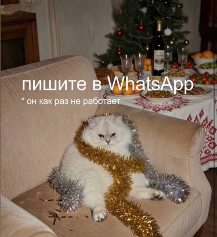 ПИШИТЕ в WhatsApp
*он как раз не работает