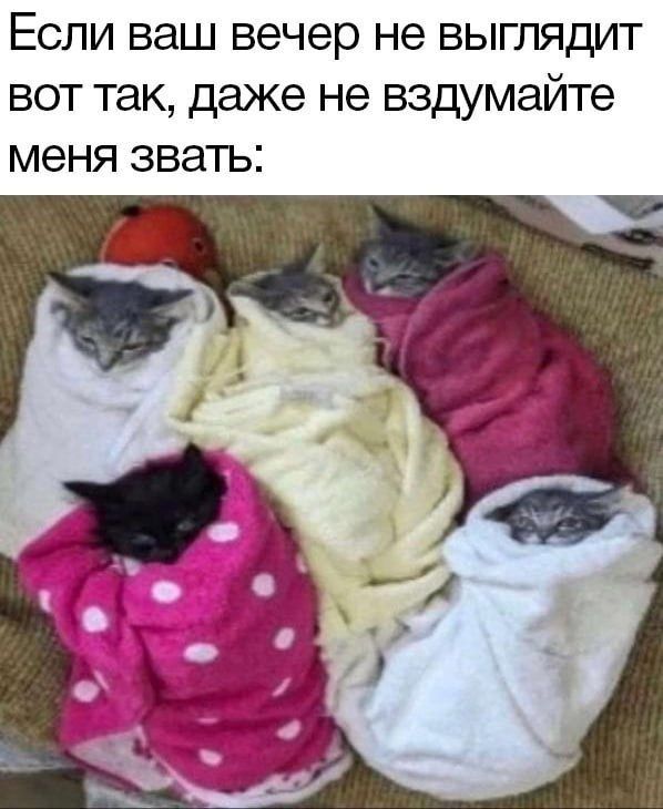 Если ваш вечер не выглядит вот так, даже не вздумайте меня звать: