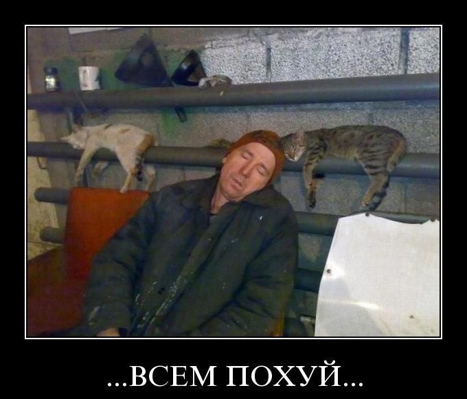 ...ВСЕМ ПОХУЙ...