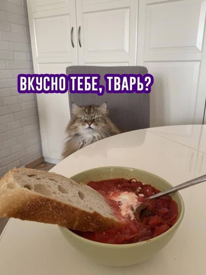 ВКУСНО ТЕБЕ, ТВАРЬ?