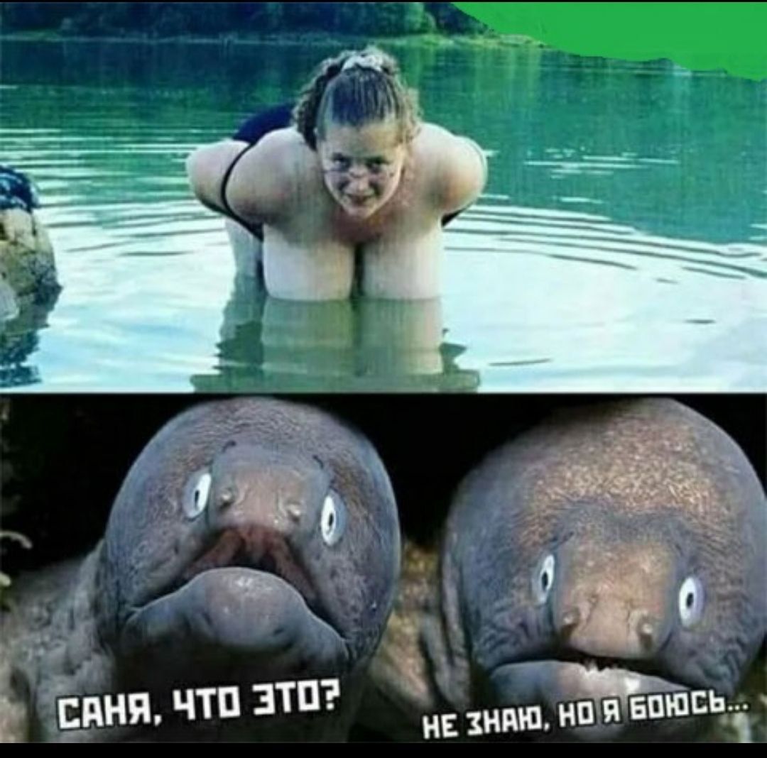 Саня, что это? Не знаю, но я боюсь...