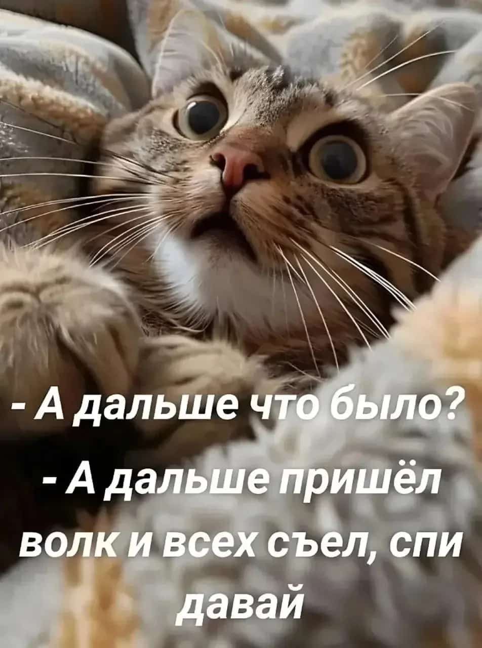 - А дальше что было? - А дальше пришёл волк и всех съёл, спи давай