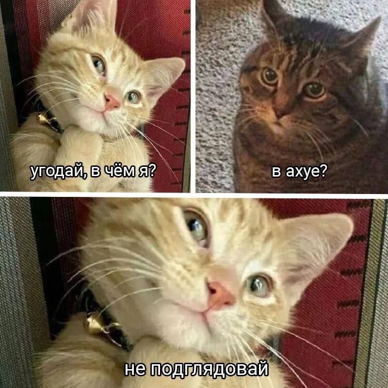 угадай, в чём я?\nв ахуе?\nне подглядывай