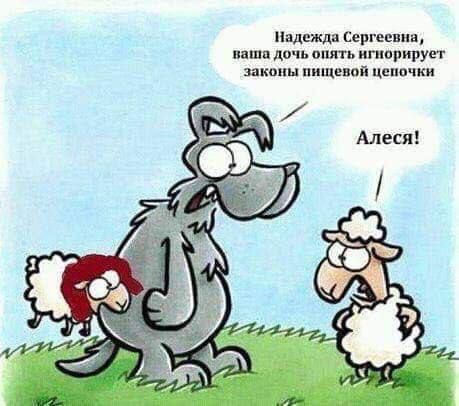 Надежда Сергеевна, ваша дочь опять игнорирует законы пищевой цепочки
Алeся!