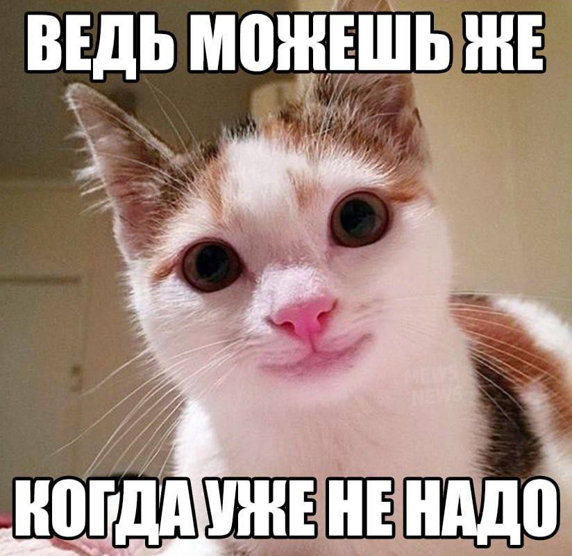 ВЕДЬ МОЖЕШЬ ЖЕ
КОГДА УЖЕ НЕ НАДО